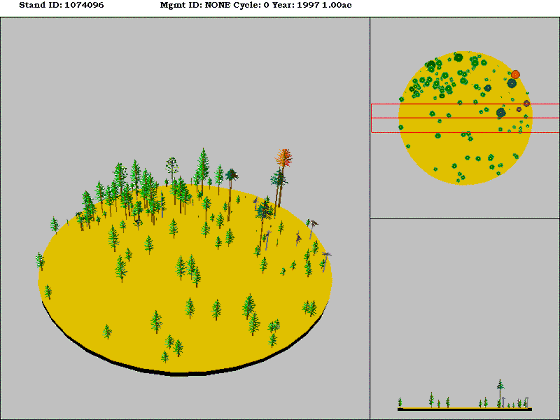 Westside Lowland Conifer-Hardwood Forest