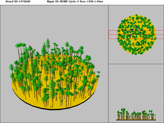 Westside Lowland Conifer-Hardwood Forest