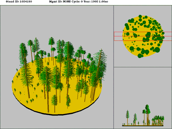 Ponderosa Pine/Douglas-fir Forest