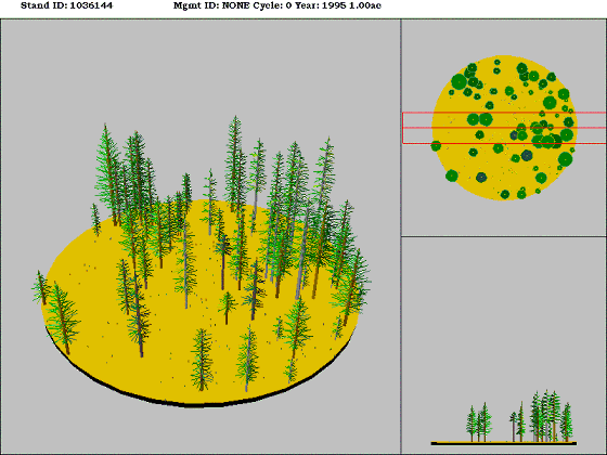 Westside Lowland Conifer-Hardwood Forest