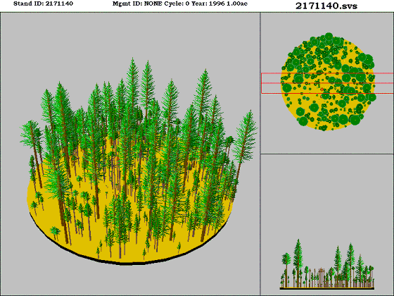 Westside Lowland Conifer-Hardwood Forest